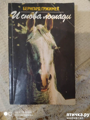 ����: �������� ������� "� ����� ������"