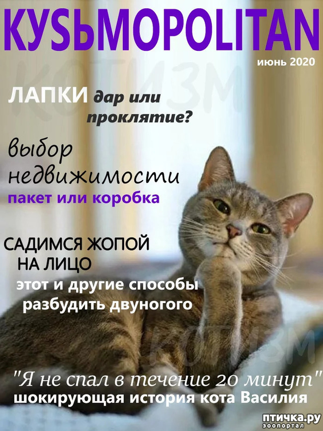 ���� 1: KYS�MOPOLITAN