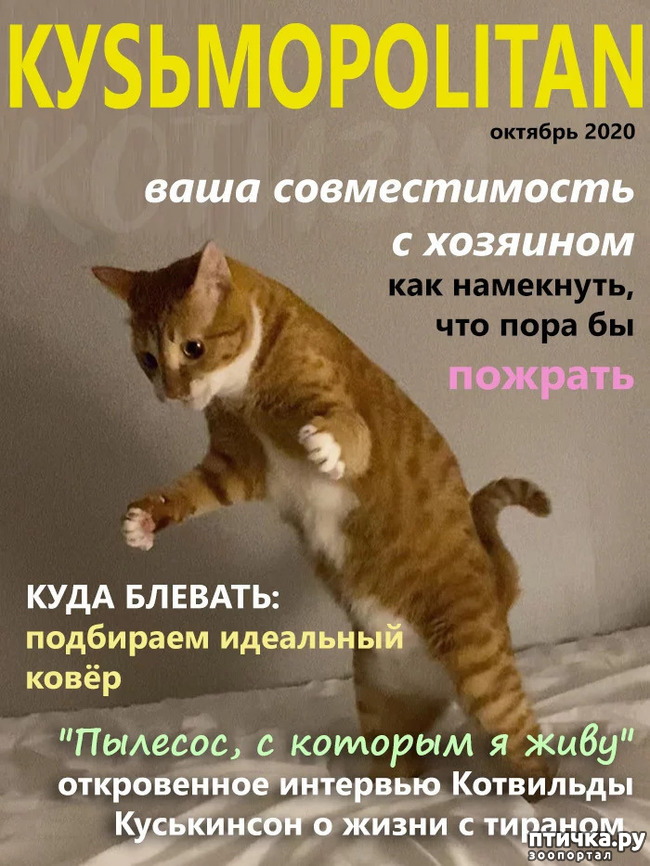 ���� 3: KYS�MOPOLITAN