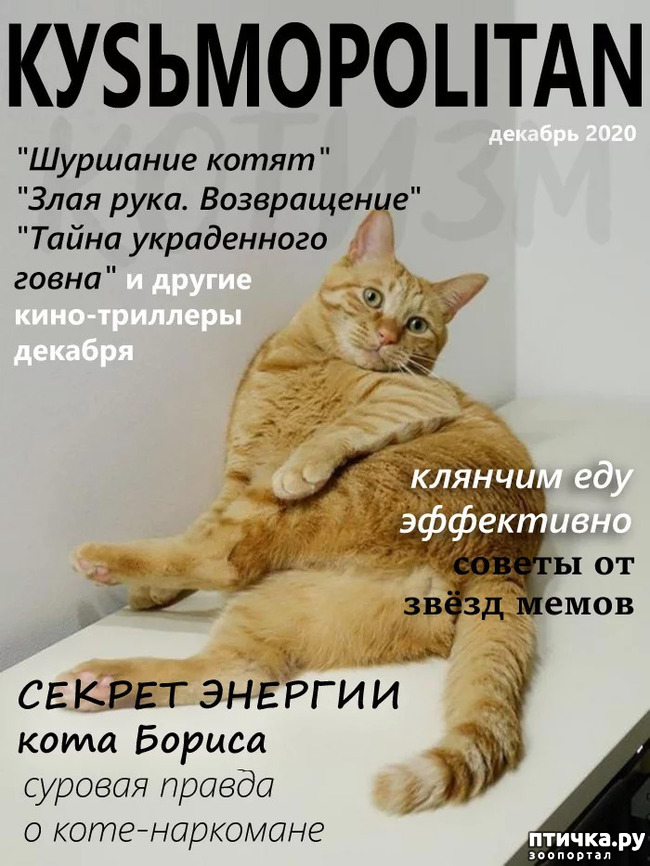 ���� 5: KYS�MOPOLITAN