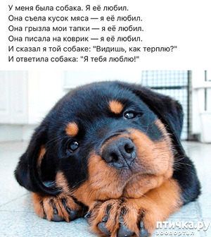 ����: "������� ������� ������"