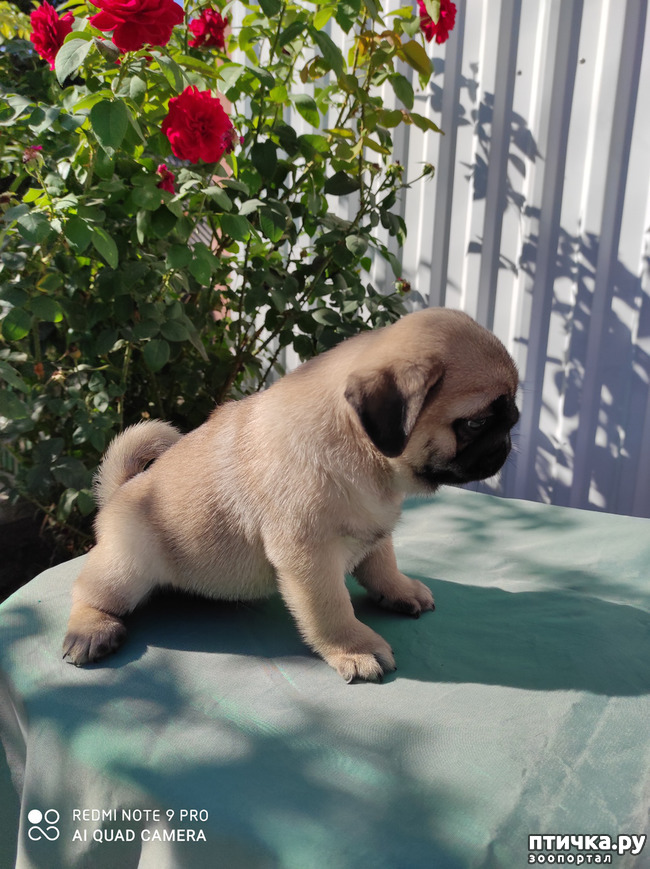 ���� 3: ������ �����