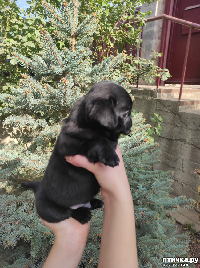 ���� 6: ������ �����