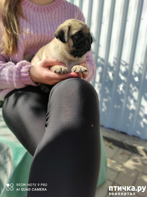 ����: ������ �����