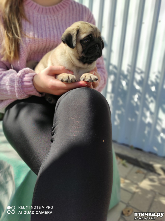 ���� 1: ������ �����