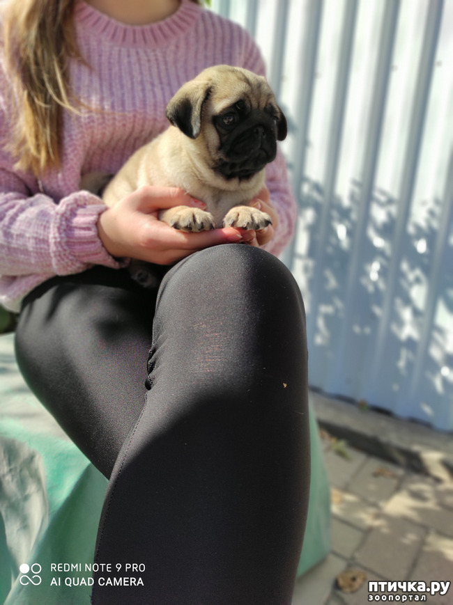 ���� 2: ������ �����