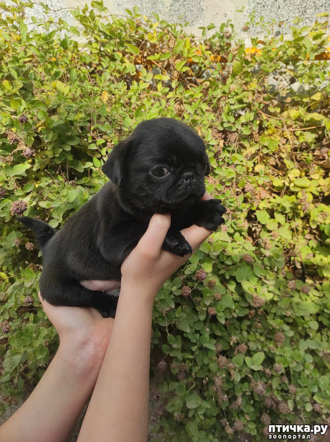 ���� 8: ������ �����