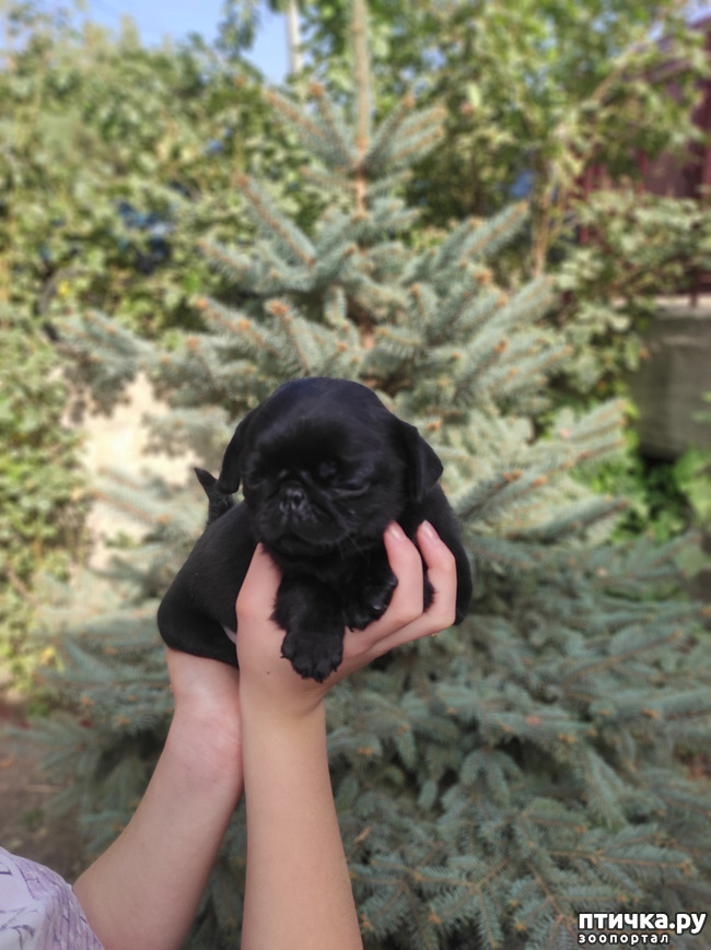 ���� 7: ������ �����