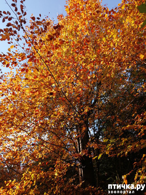 ����: ��� � � ��� ������ ������� �����.