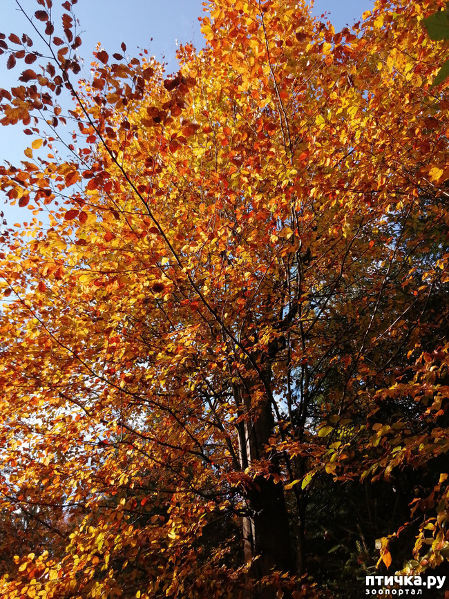 ���� 1: ��� � � ��� ������ ������� �����.