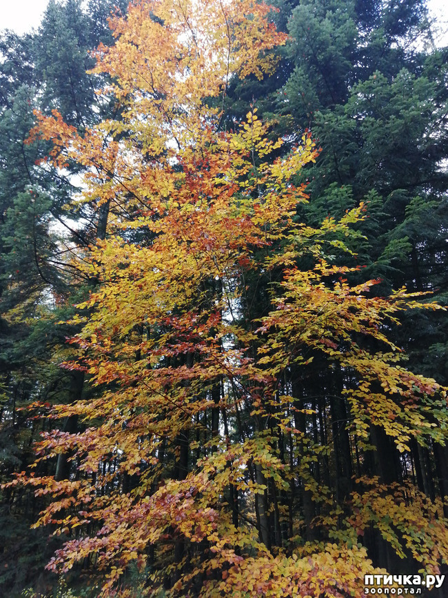 ���� 2: ��� � � ��� ������ ������� �����.