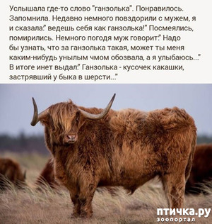 ����: �������� �� ���� ������ (����!)))