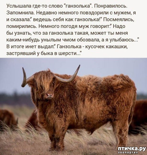 ���� 1: �������� �� ���� ������ (����!)))