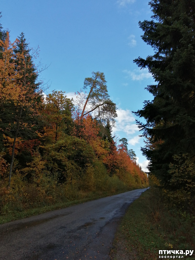 ���� 3: ��� � � ��� ������ ������� �����.