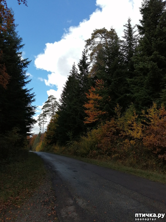 ���� 4: ��� � � ��� ������ ������� �����.