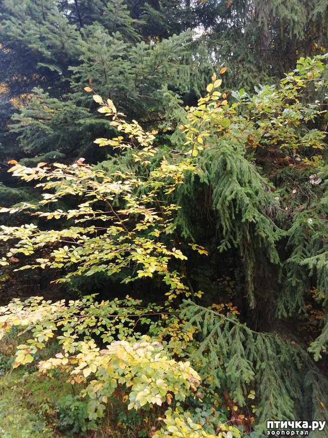 ���� 5: ��� � � ��� ������ ������� �����.