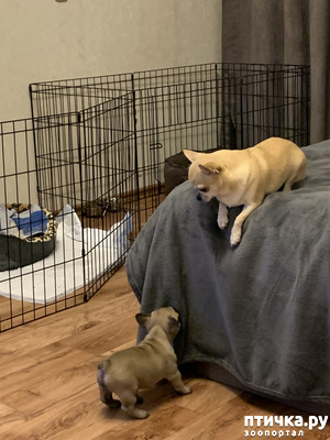 ����: ������ � �������� ������ �����