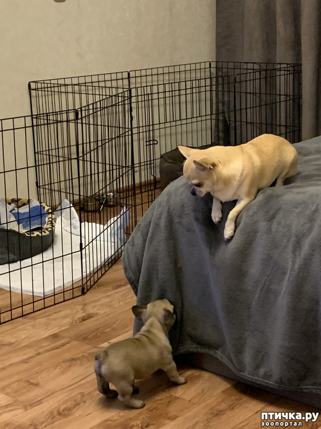 ���� 1: ������ � �������� ������ �����