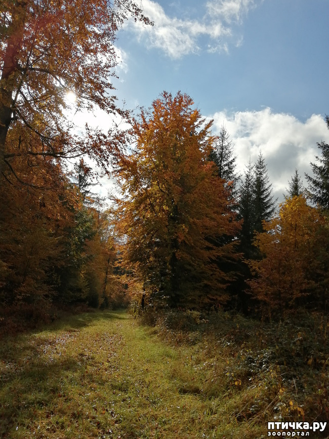 ���� 7: ��� � � ��� ������ ������� �����.