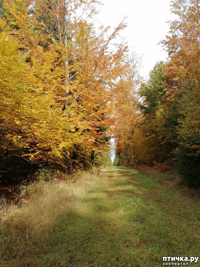 ���� 8: ��� � � ��� ������ ������� �����.