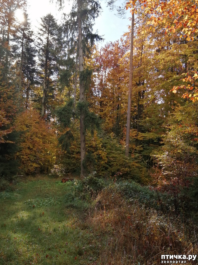 ���� 9: ��� � � ��� ������ ������� �����.