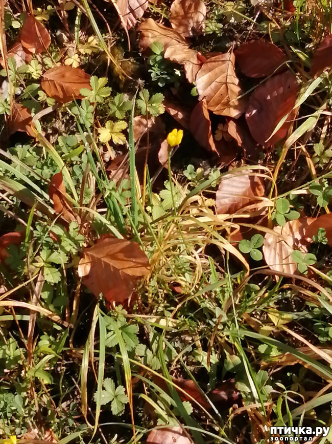 ���� 11: ��� � � ��� ������ ������� �����.