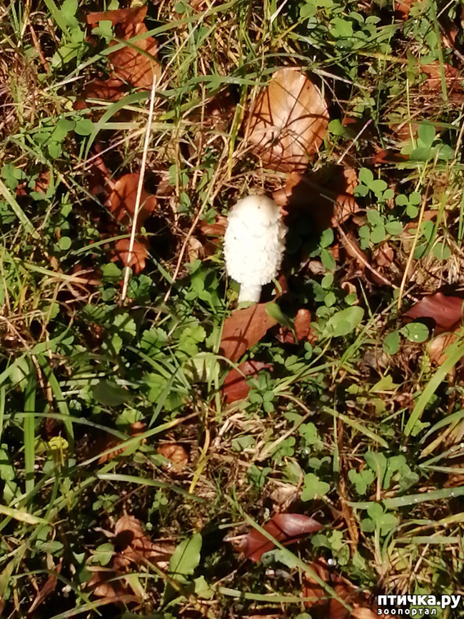 ���� 13: ��� � � ��� ������ ������� �����.