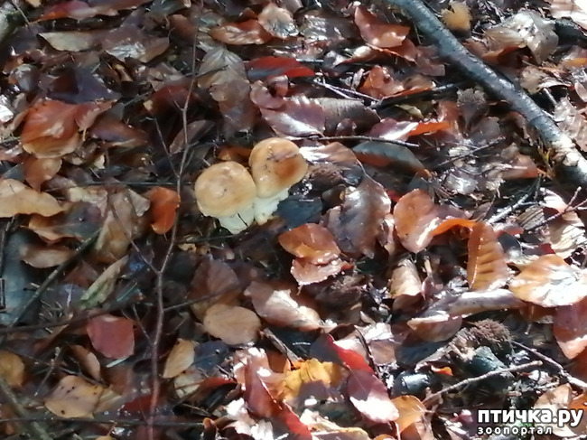 ���� 14: ��� � � ��� ������ ������� �����.