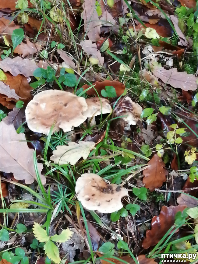 ���� 15: ��� � � ��� ������ ������� �����.