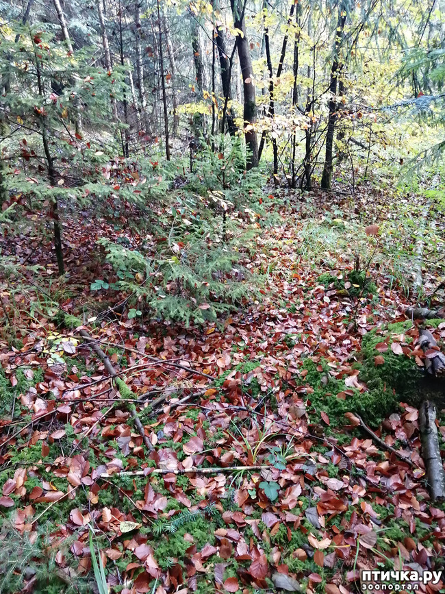 ���� 16: ��� � � ��� ������ ������� �����.