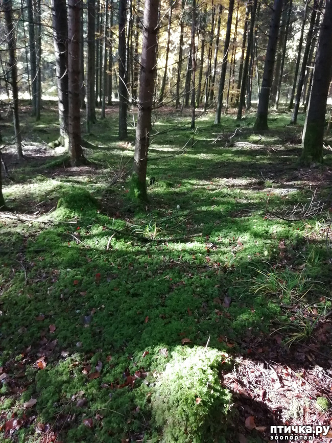 ���� 18: ��� � � ��� ������ ������� �����.