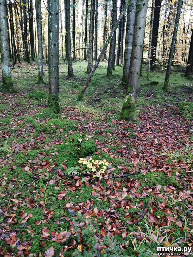 ���� 17: ��� � � ��� ������ ������� �����.