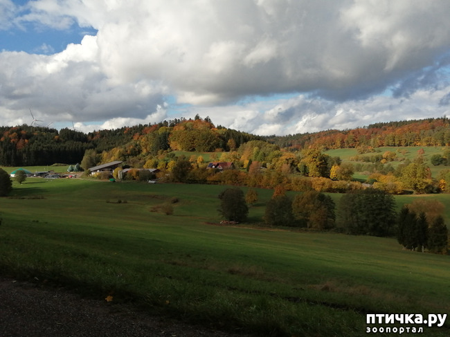 ���� 19: ��� � � ��� ������ ������� �����.