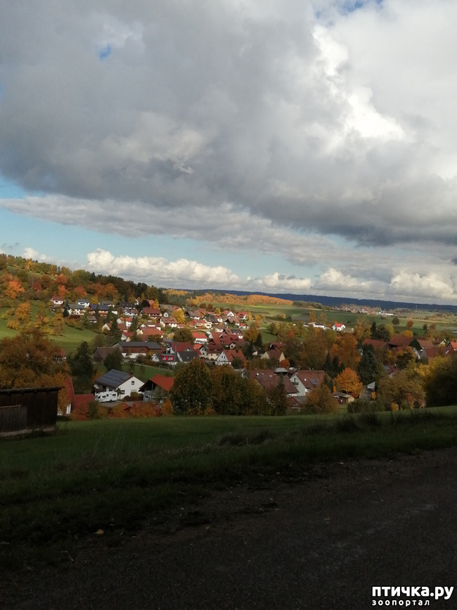 ���� 20: ��� � � ��� ������ ������� �����.