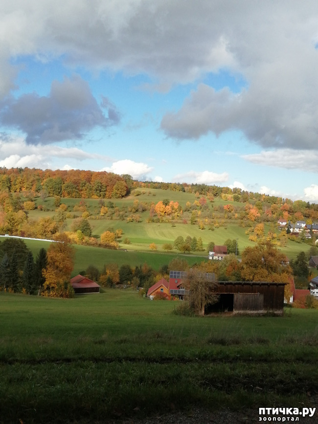 ���� 21: ��� � � ��� ������ ������� �����.