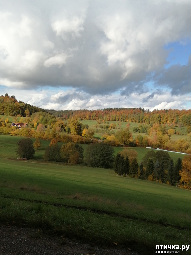 ���� 22: ��� � � ��� ������ ������� �����.