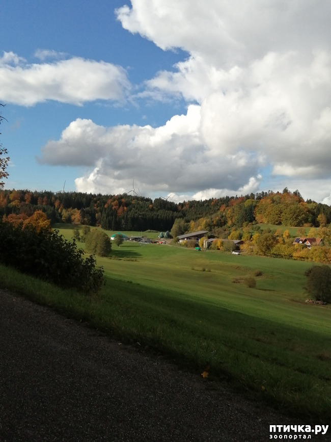 ���� 23: ��� � � ��� ������ ������� �����.