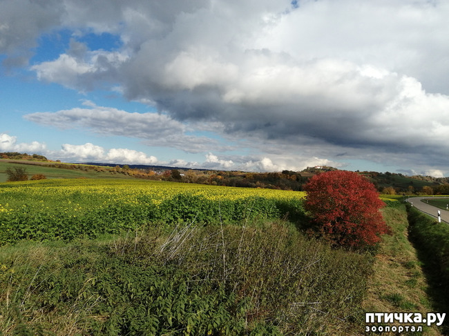 ���� 24: ��� � � ��� ������ ������� �����.