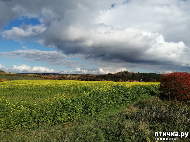 ���� 25: ��� � � ��� ������ ������� �����.