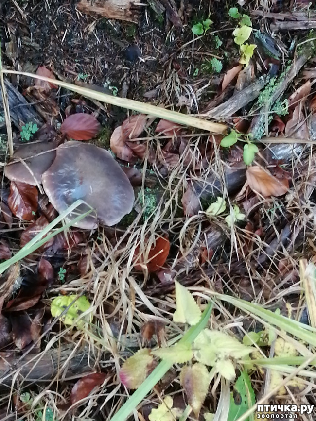 ���� 12: ��� � � ��� ������ ������� �����.