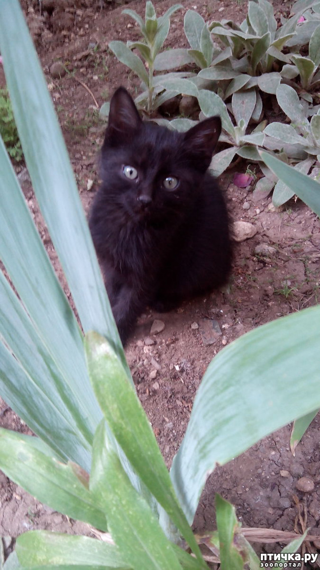 ���� 1: ������ �� �������