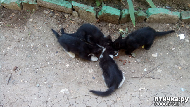 ���� 2: ������ �� �������