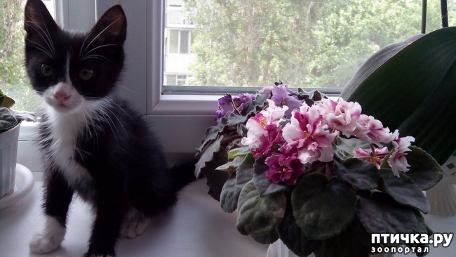 ���� 5: ������ �� �������