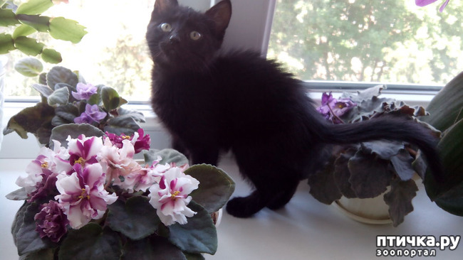 ���� 7: ������ �� �������