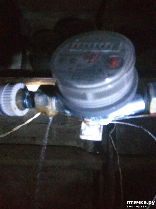 ���� 2: ���� � ��� ���-�� ��������� � ����, �������� ��� �� ����...