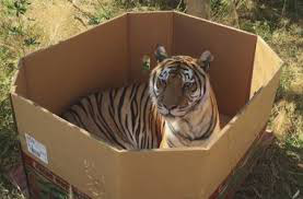 ���� 2: ������ ����� ��������