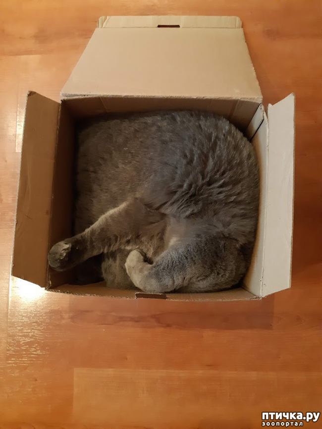 ���� 4: ������ ����� ��������