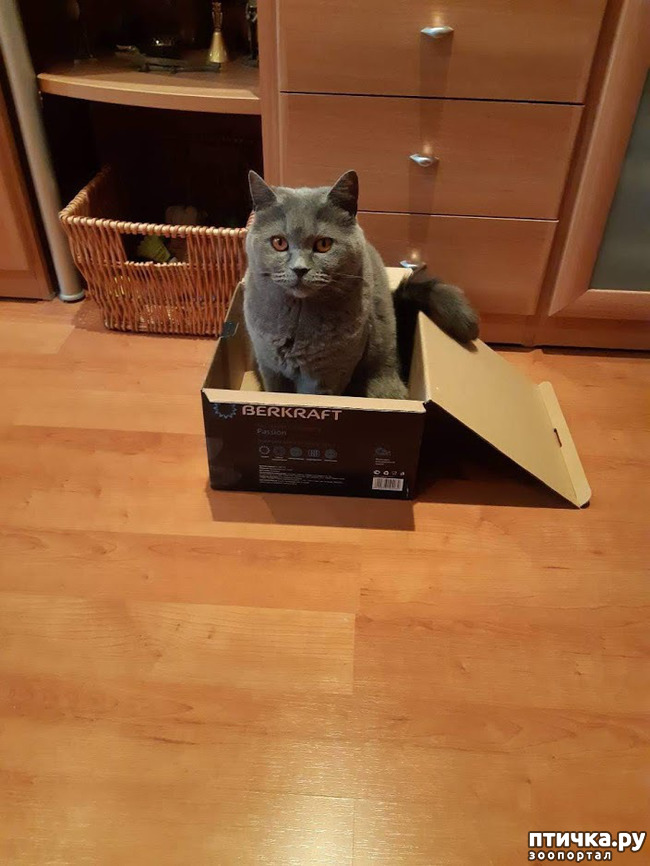 ���� 5: ������ ����� ��������