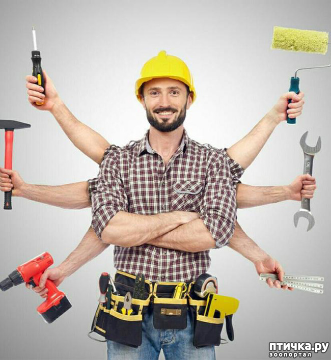 ���� 1: ���� � ��� ���-�� ��������� � ����, �������� ��� �� ����...