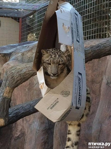 ���� 9: ������ ����� ��������